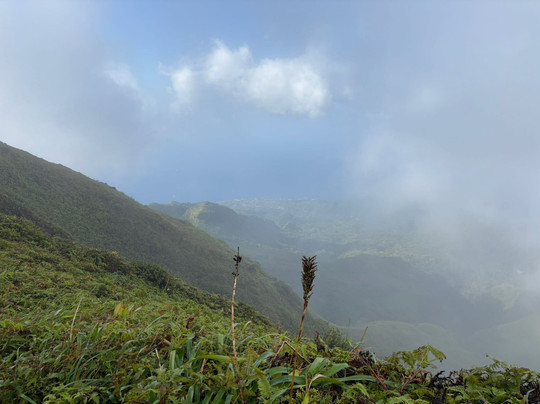 Montagne Pelée-Arrondissement of Saint-Pierre必去景点