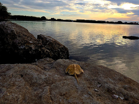 Brasher Park-里奇港必去景点