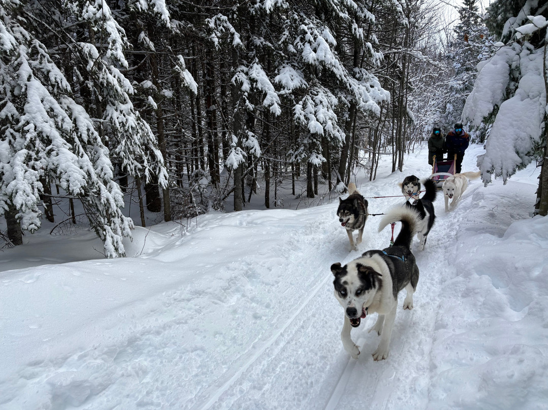 La Reine et le Millionnaire-Baie-St-Paul必去景点
