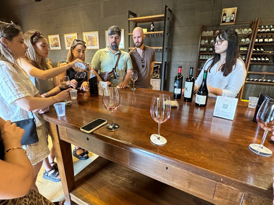 Bodega Los Toneles-门多萨必去景点