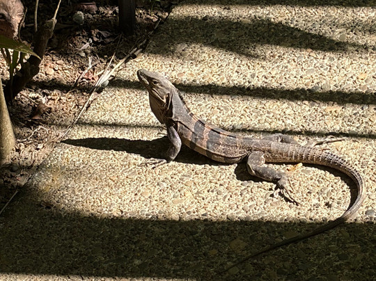 Best of Costa Rica DMC-圣何塞必去景点