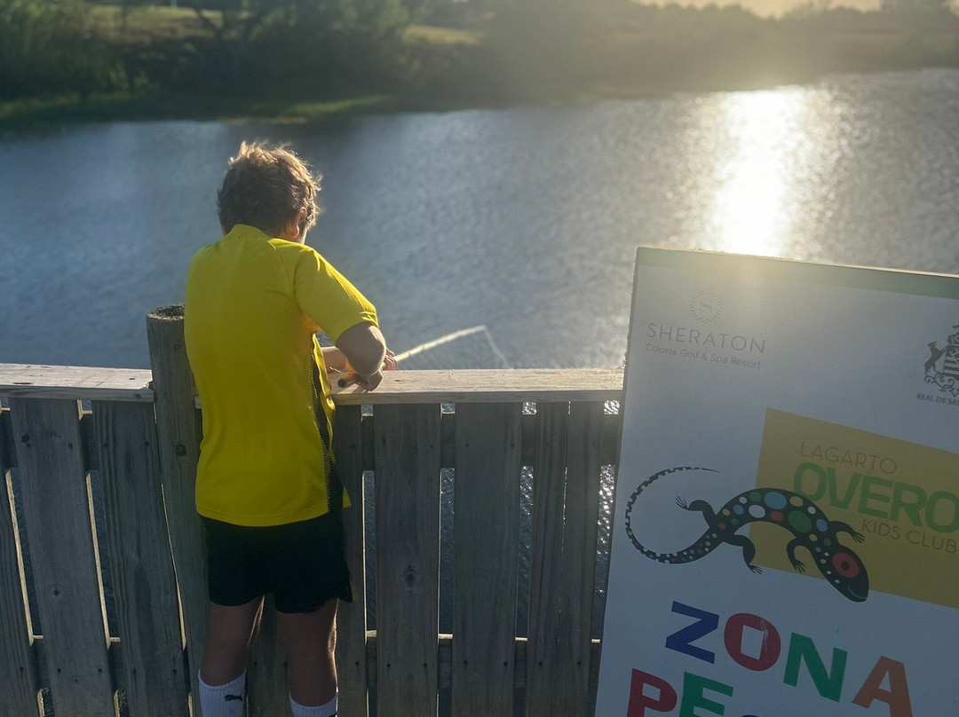 科洛尼亚喜来登高尔夫水疗度假村主图