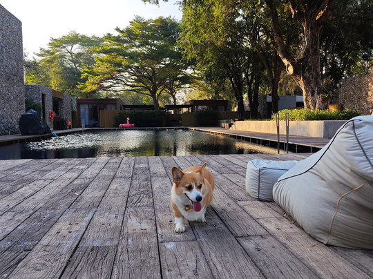 泰国蒉不日X2度假村主图