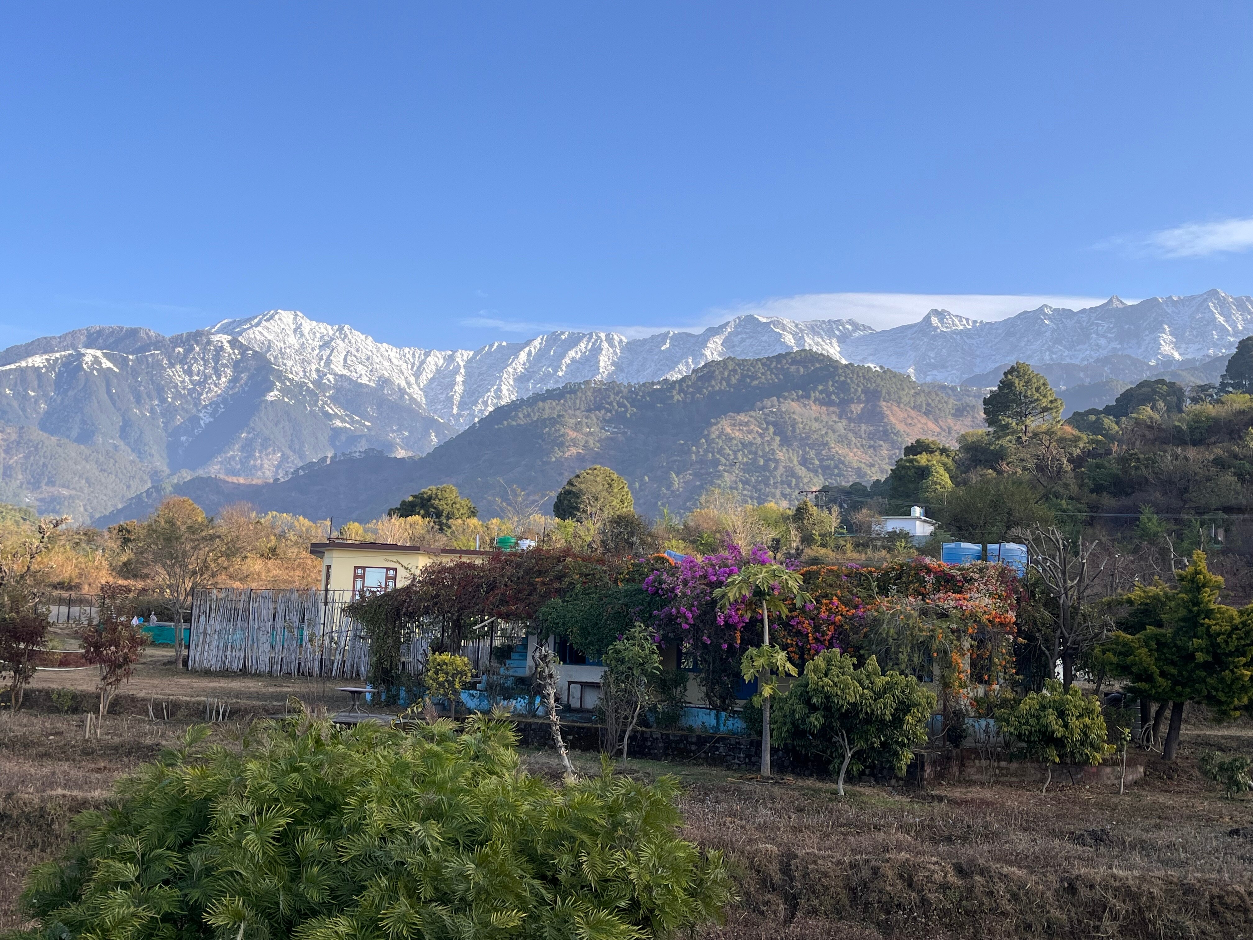 Rendezvous Dharamshala-官方