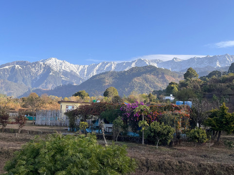 Rendezvous Dharamshala主图