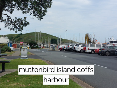 Coffs Harbour Muttonbird Island-科夫斯港必去景点