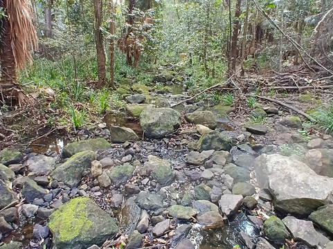 Wappa Dam-Yandina必去景点