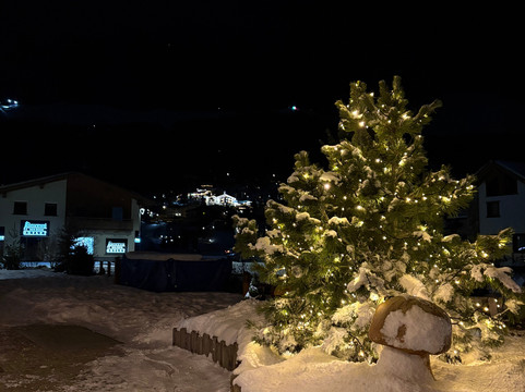 Hotel Roberta Alpine主图