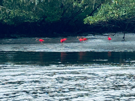 Parque Nacional do Superagui-Guaraquecaba必去景点