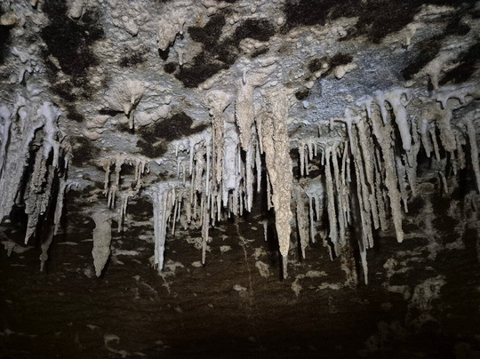 Underworld Adventures Ltd-Charleston必去景点