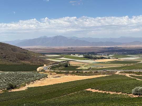 Connect Travel SA-斯泰伦博斯必去景点