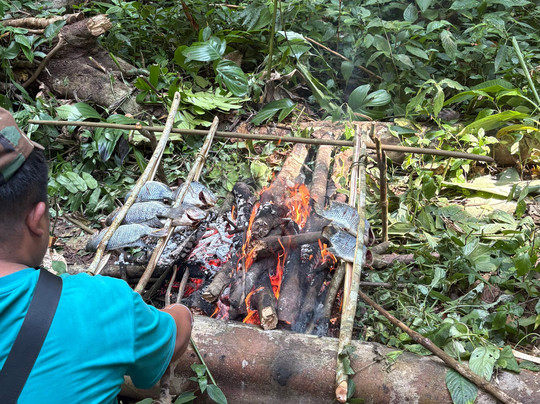 Into the Wild Laos-琅南塔必去景点