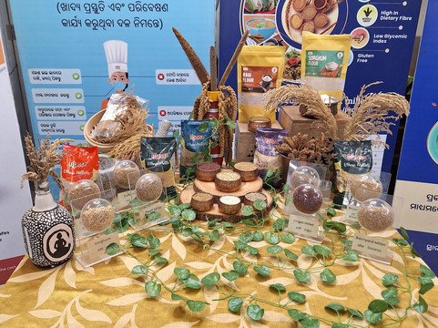 The Cook's Adventures-坎特伯雷必去景点