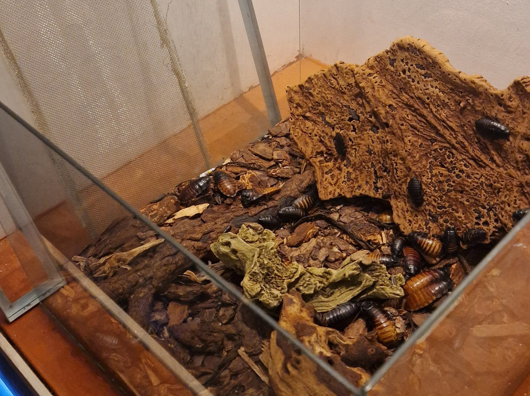 Citta Della Scienza-那不勒斯必去景点