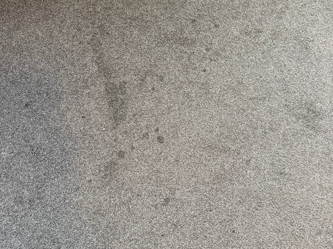 Gästehaus Alte Schule主图