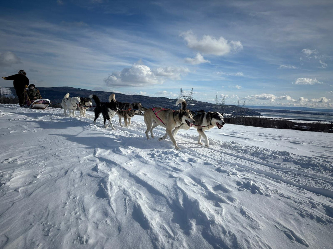 La Reine et le Millionnaire-Baie-St-Paul必去景点