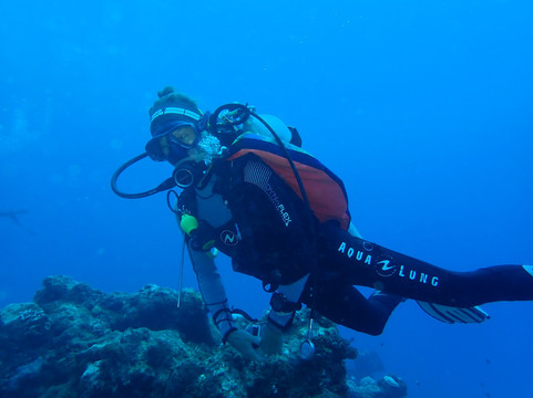 激情马尔代夫潜水学校-Maalhos必去景点