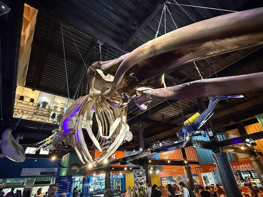 AquaRio-里约热内卢必去景点