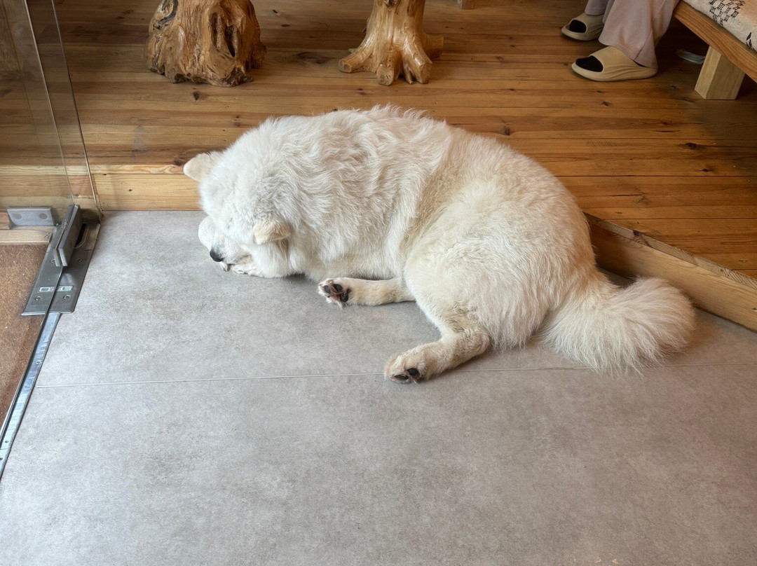 Terra Heal - Massage Spa Lisbon-里斯本必去景点