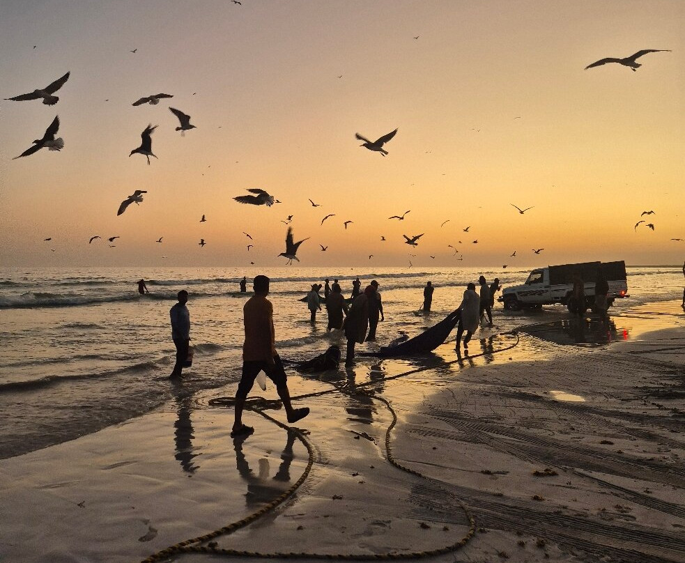 Salalah Premium Tours-塞拉莱必去景点
