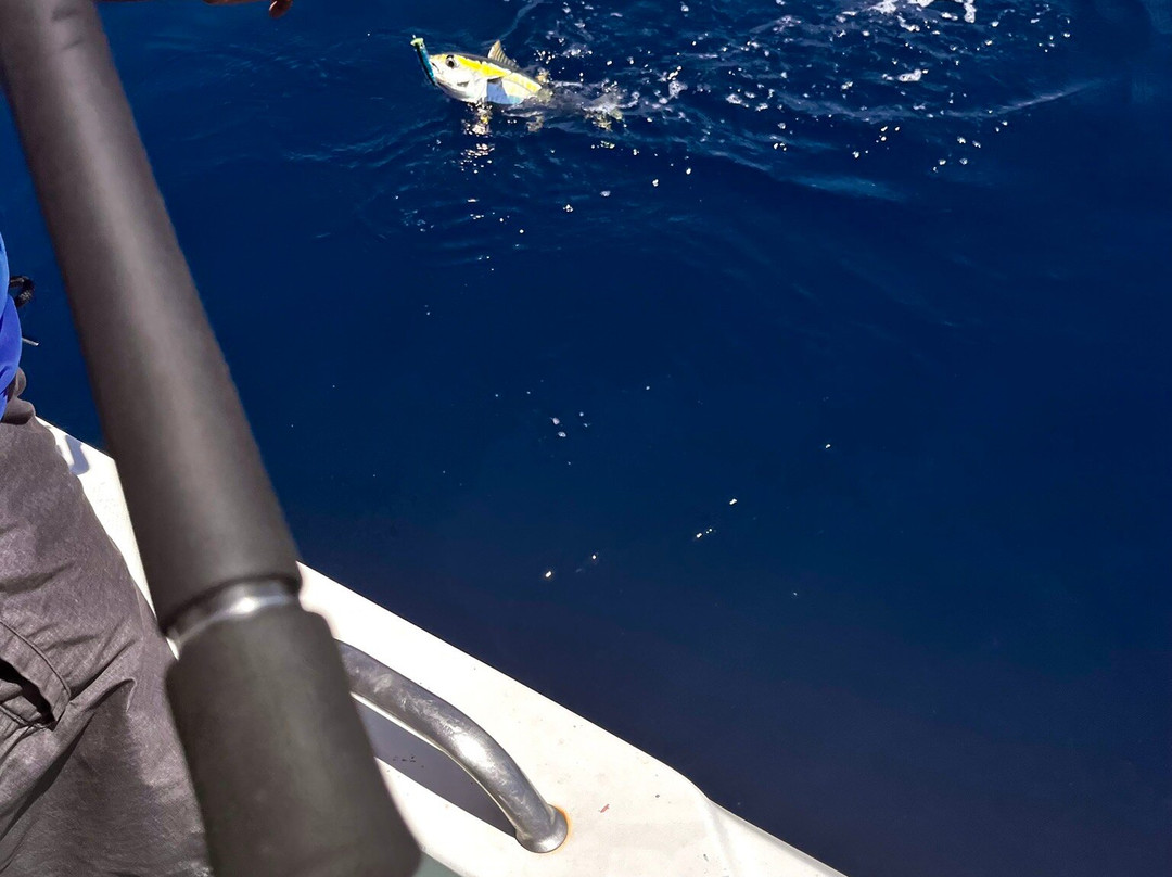 Carib Evasion-Case-Pilote必去景点