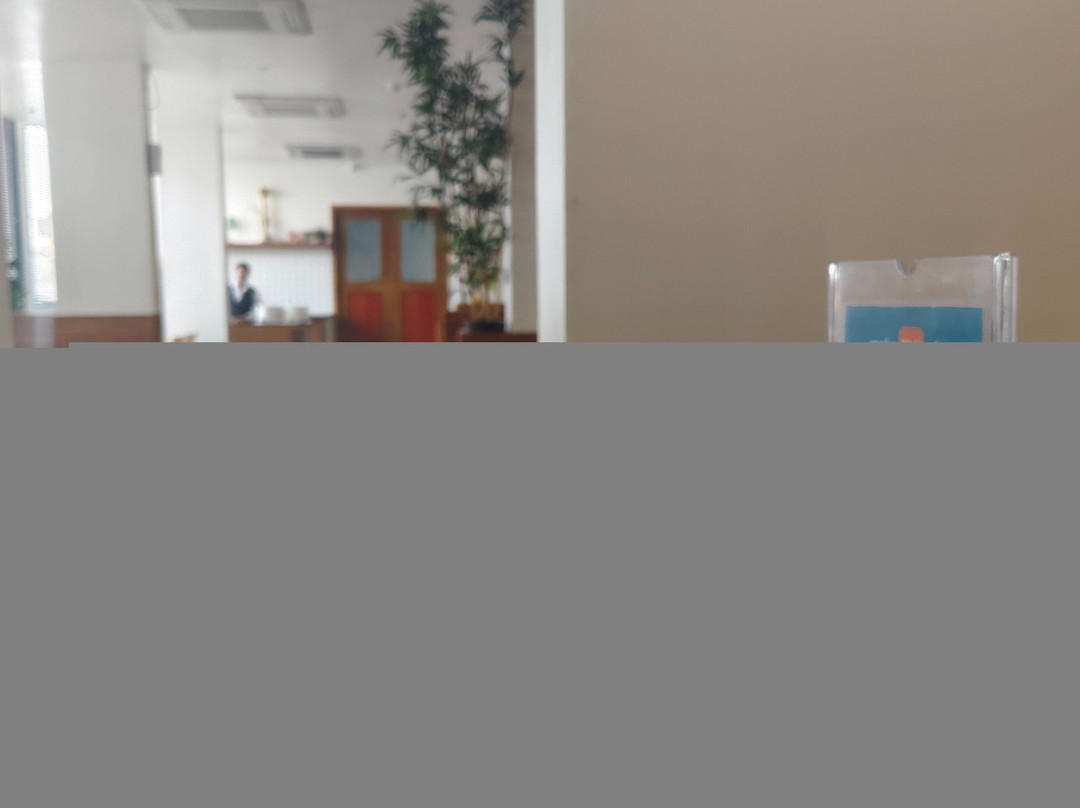 苏拉特市中心姜之酒店主图