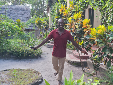 Mafia Whale Shark Tours-Kilindoni必去景点