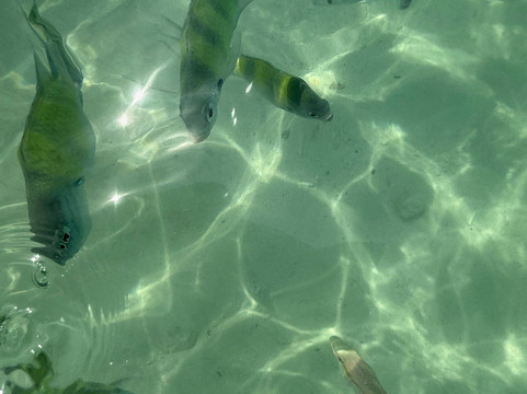 Banana Beach-珊瑚岛必去景点