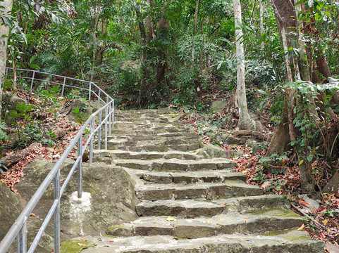 Con Dao National Park-昆山岛必去景点