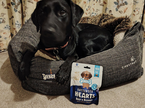 The Feathers Hotel主图