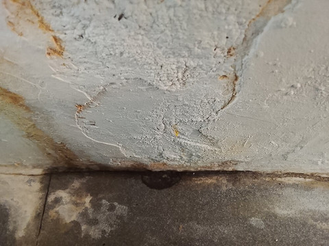 无尽夏日度假村主图