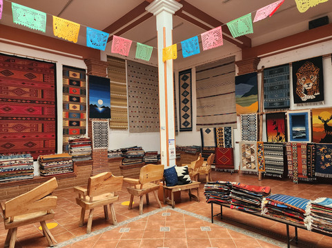 Isaac Vásquez Studio by The bug in The Rug-Teotitlan del Valle必去景点