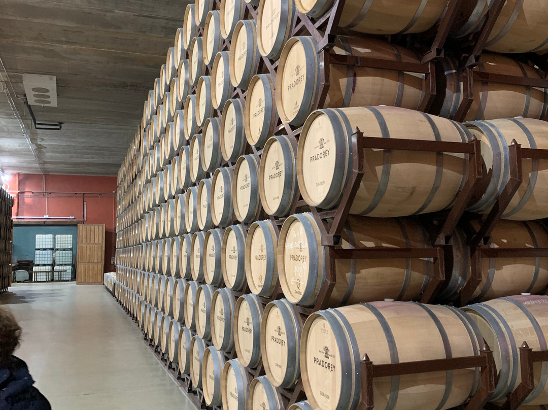 Bodegas Y Vinedos PradoRey-Gumiel Del Mercado必去景点