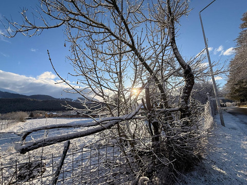 艾瑞斯酒店主图