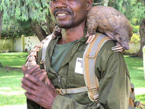 Wild Is Life-哈拉雷必去景点