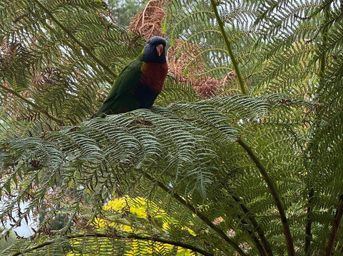 亚瑟菲利普汽车旅馆主图