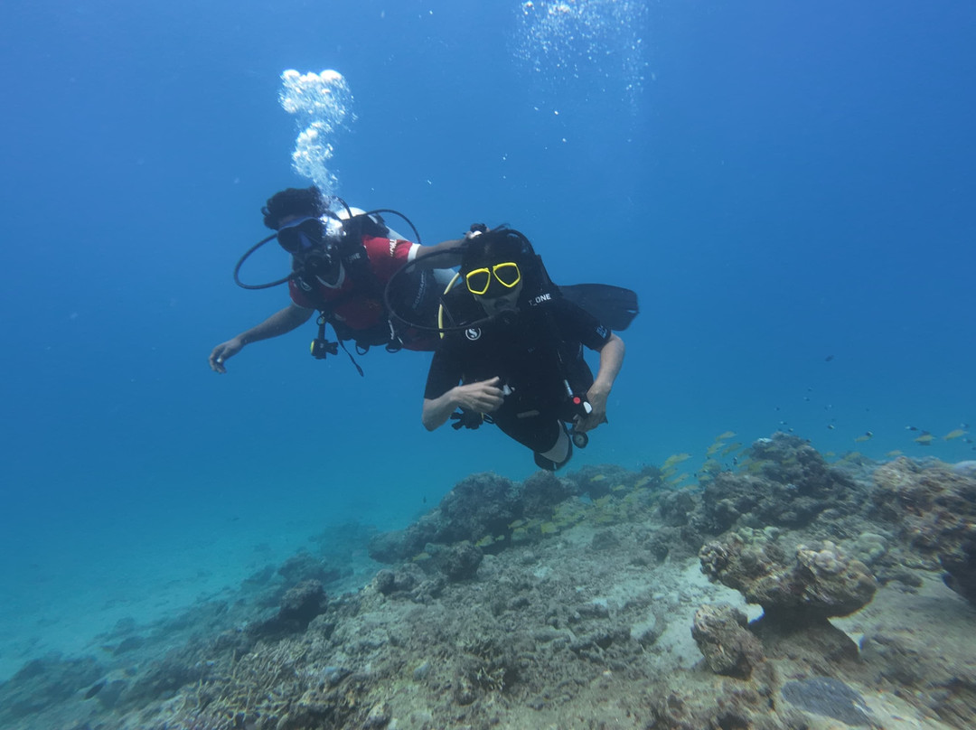 Turquoise Dream-Neil Island必去景点