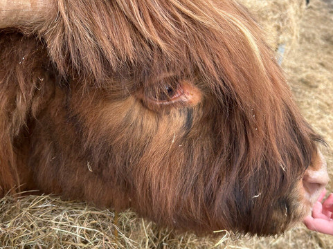 Colready Highlands-Brackley必去景点