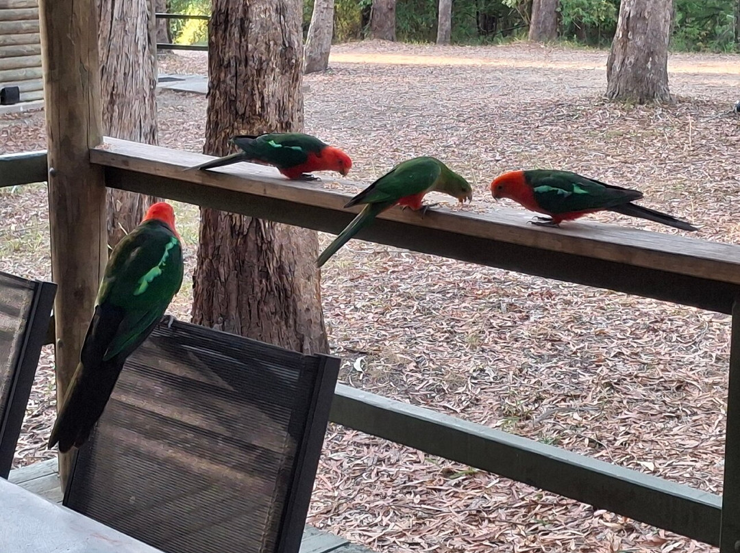 Lakes Entrance Log Cabins