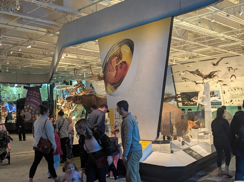 Cleveland Museum of Natural History-克利夫兰必去景点