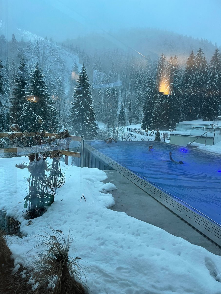 Belchenhotel Jaegerstueble-泳池