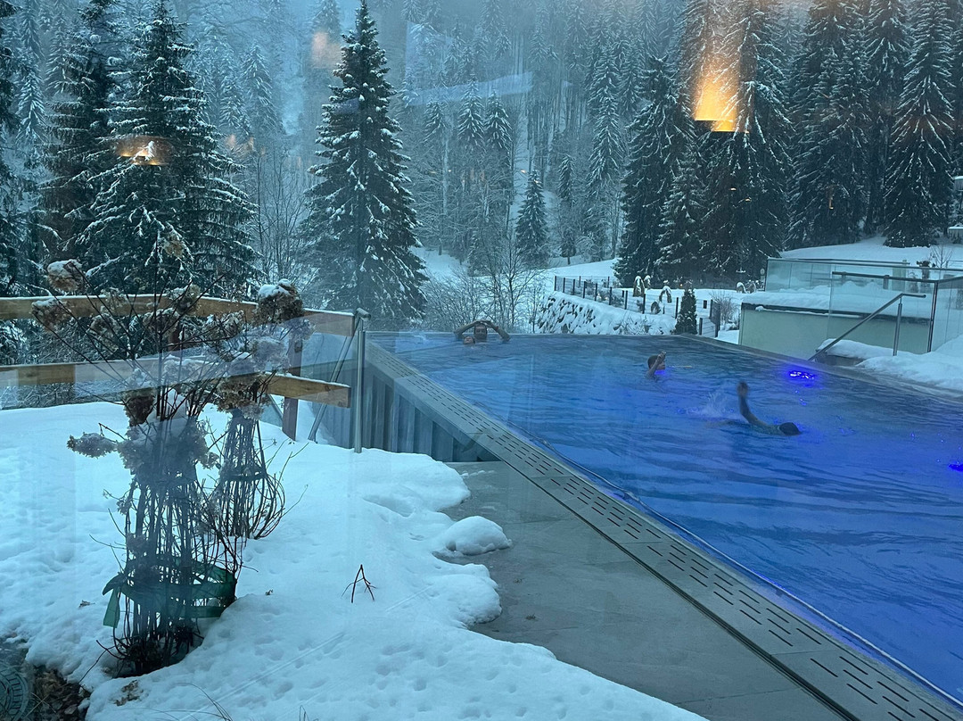 Belchenhotel Jaegerstueble主图