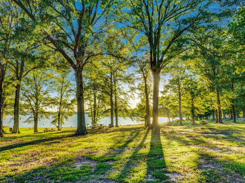 Arkabutla酒店住宿-Days Inn Hernando