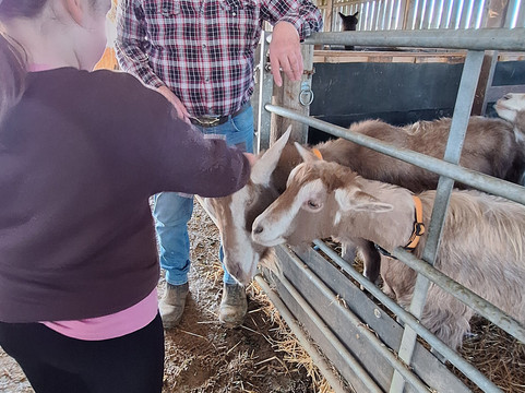 Milestone Ranch Country Park-唐克斯特必去景点