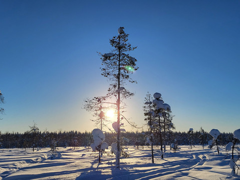 Safartica Yllas-Yllasjarvi必去景点