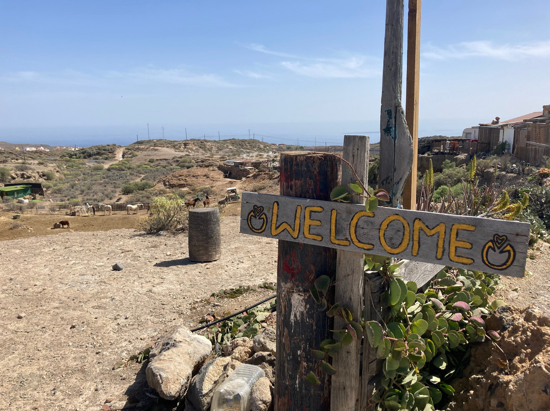 Tenerife Animal Sanctuary-圣克鲁斯-德特内里费必去景点
