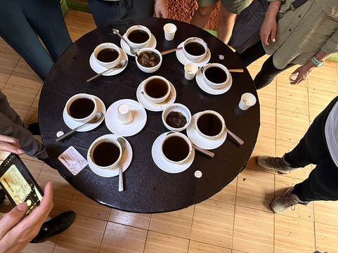 Fairview Coffee Estate-内罗毕必去景点