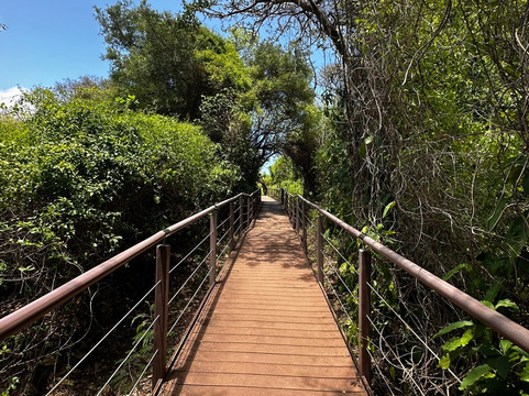 Fernando de Noronha Marine National Park-费尔南多-迪诺罗尼亚群岛必去景点