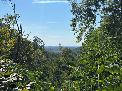 Stumphouse Mountain Tunnel-Walhalla必去景点