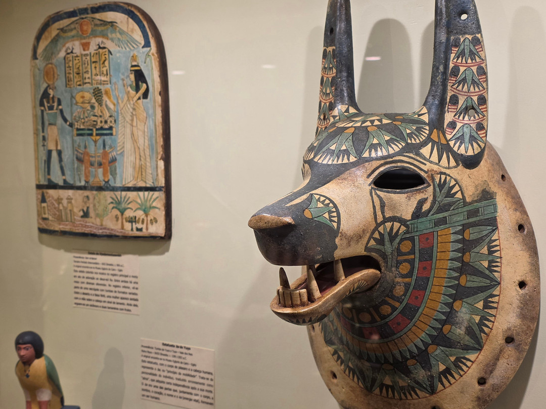 Museu de Arqueologia Ciro Flamarion Cardoso-Ponta Grossa必去景点